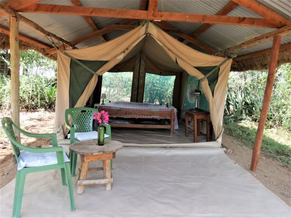 Large Safari Tent